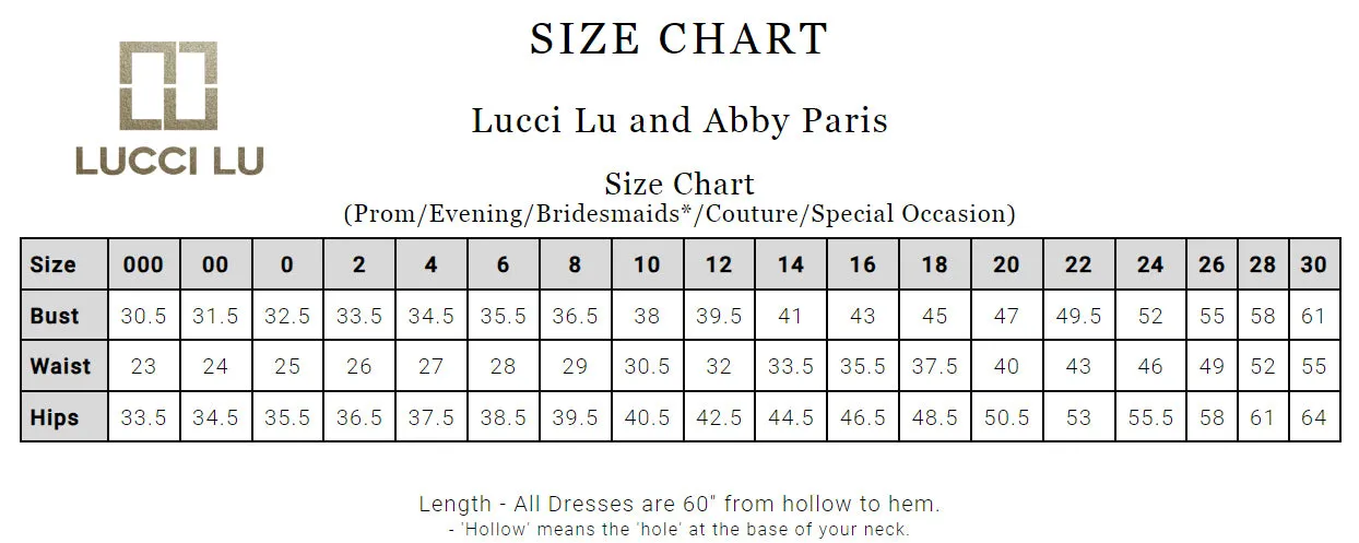Abby Paris by Lucci Lu 93065 Purple Lace and Chiffon Dress