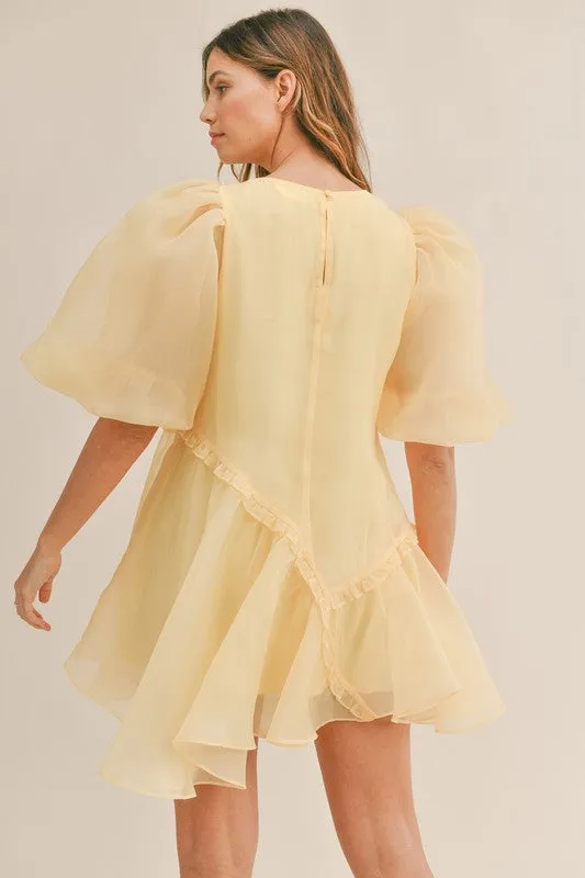 Organza Puff Sleeve Mini